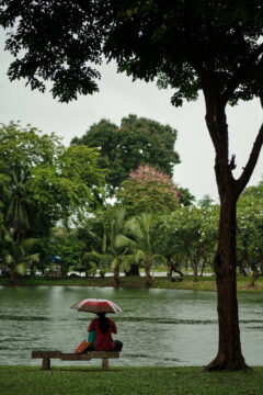 Lumphini park, Bangkok